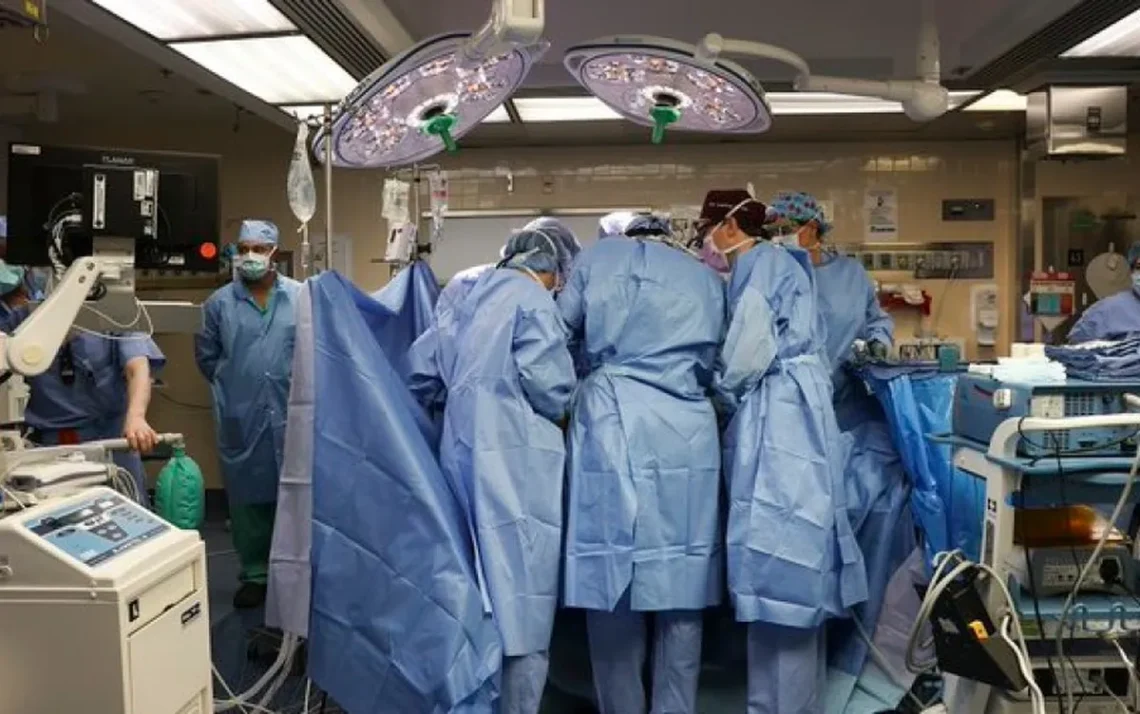 transplantação, cirurgia de implante, operação de transferência