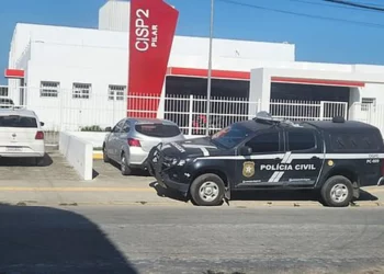 violência, ataque, agressividade