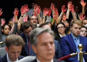 trégua, pausa nas hostilidades, suspensão de combates