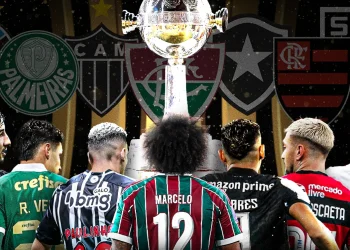 Copa Libertadores, torneio continental