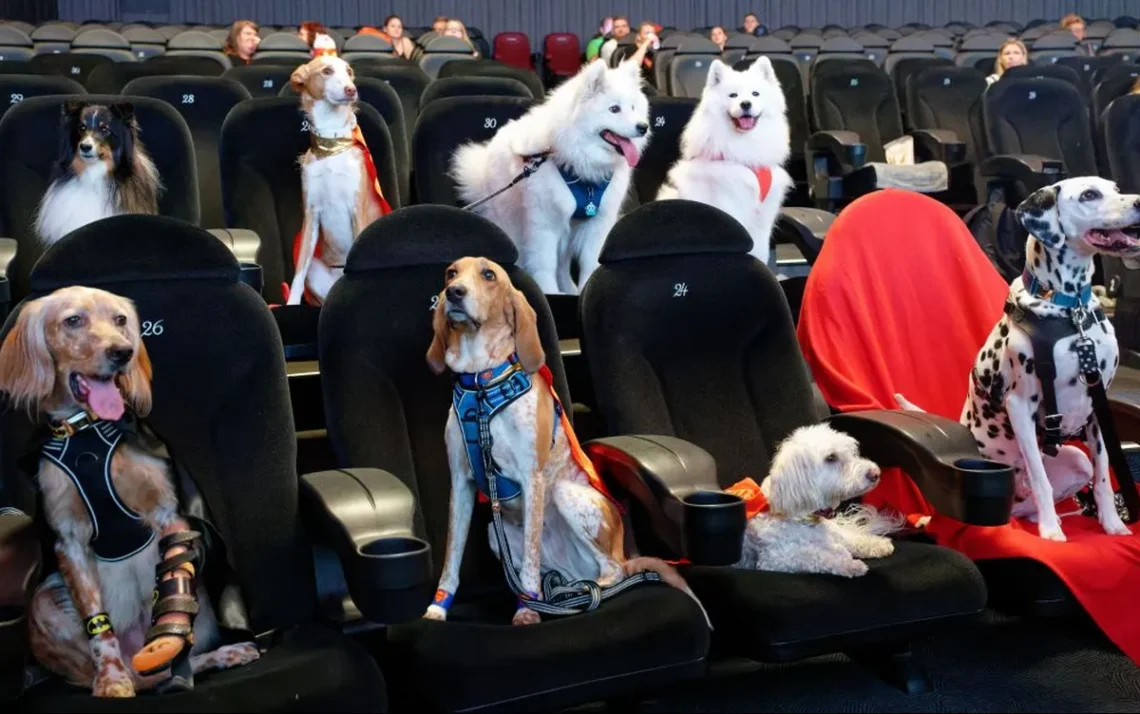 Cachorros no cinema, Dogs no cinema, Cinema com cães, Film com cães, Sessões especiais com cães;