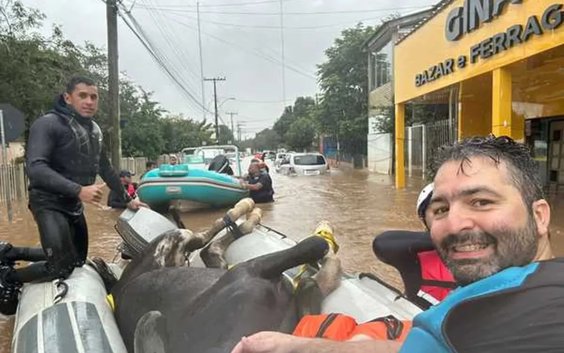 Inter, dirigente, eleito, veterinário, professor, Universidade Federal do Rio Grande do Sul (Ufrgs), ge, WhatsApp, canal, administradora, solidariedade, onda, ajuda, vítimas, enchentes, Rio Grande do Sul;