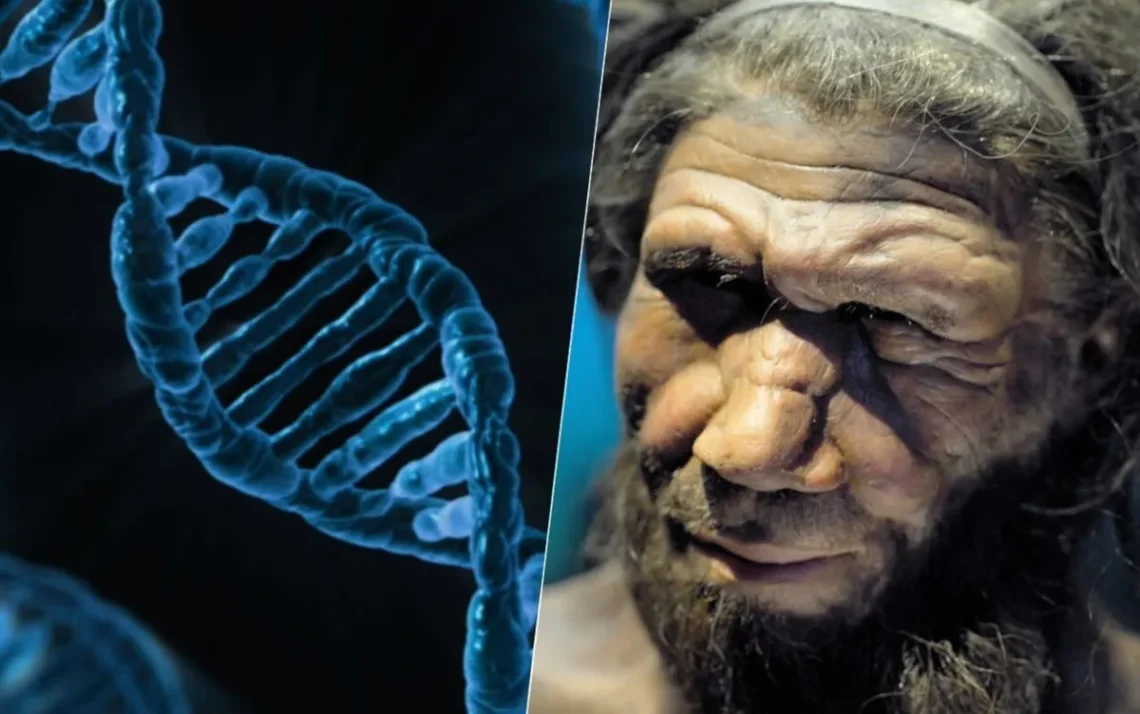 DNA, genes de Neandertal;