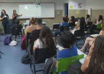 ensino secundário, educação média;