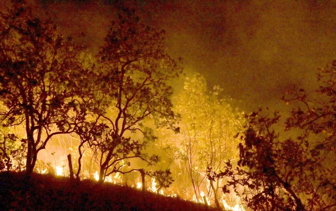 incêndios, focos, chamas de incêndio;