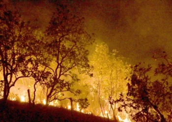 incêndios, focos, chamas de incêndio;