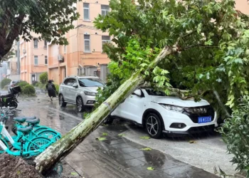 tempestade, furacão, ciclone;